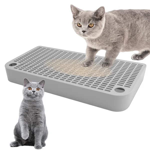 Double-Layer Cat Litter Mat